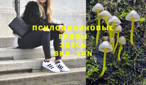 прущие крисы Надым