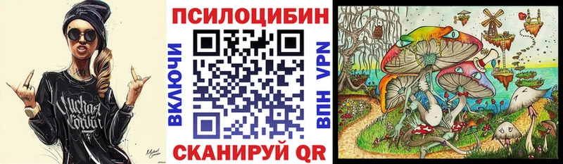 наркотики  Зубцов  Галлюциногенные грибы мухоморы 